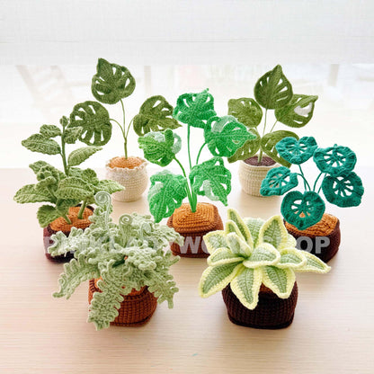 Handmade Crochet Plant: Monstera, Succulent, Fern