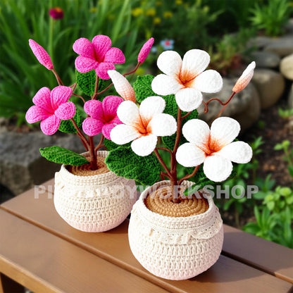 Handmade Crochet Plumeria Pot: Tropical Yarn Flower Decor