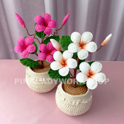Handmade Crochet Plumeria Pot: Tropical Yarn Flower Decor