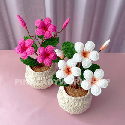 Handmade Crochet Plumeria Pot: Tropical Yarn Flower Decor