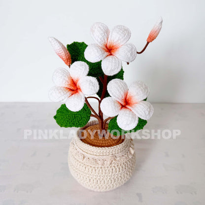 Handmade Crochet Plumeria Pot: Tropical Yarn Flower Decor