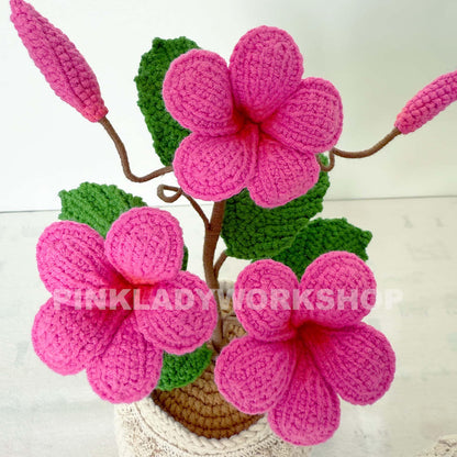 Handmade Crochet Plumeria Pot: Tropical Yarn Flower Decor