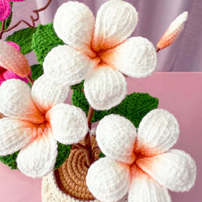 Handmade Crochet Plumeria Pot: Tropical Yarn Flower Decor