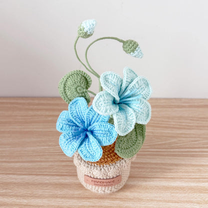 Handmade Crochet Vernicia Fordii Flower Pot Plant | Home Desktop Table Decor | Pink | Handcrafted Gift for Wife Mom Birthday