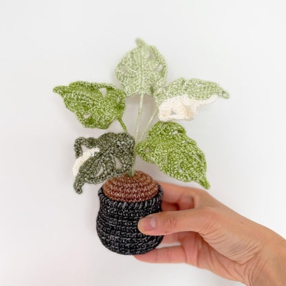 Handmade Crochet Monstera Plant | Yarn Amigurumi, Black Pot