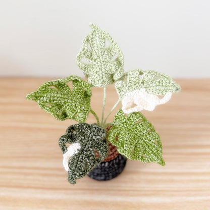 Handmade Crochet Monstera Plant | Yarn Amigurumi, Black Pot