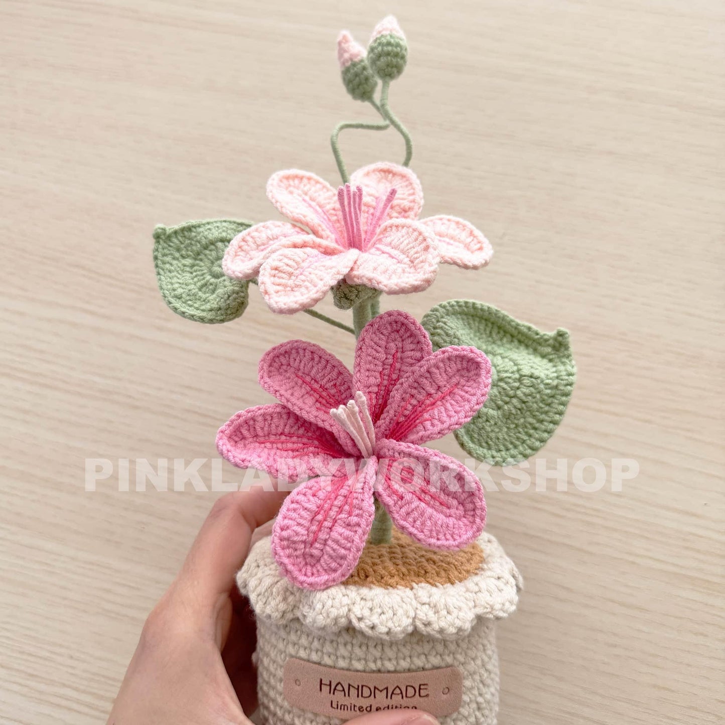 Crochet Vernicia Fordii Flower Pot: Handmade Yarn Plant Decor