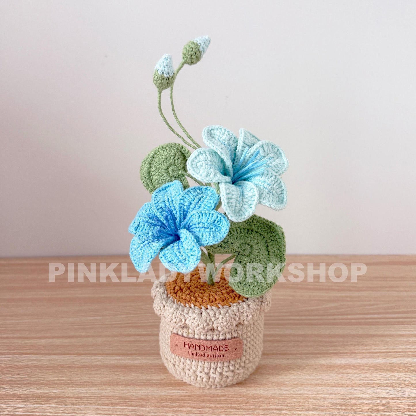Crochet Vernicia Fordii Flower Pot: Handmade Yarn Plant Decor