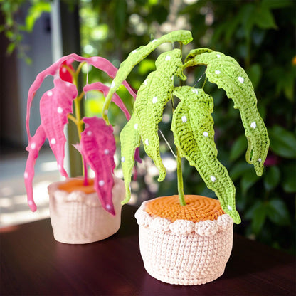 Handmade Crochet Begonia Flamingo Queen Plant | Polka Dot Houseplant | Green or Pink Leaf Decor | Indoor Plant Lover Gift | Botanical Art