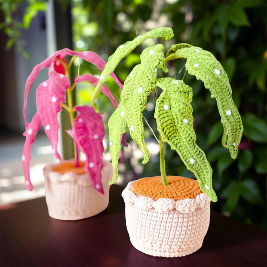 Handmade Crochet Begonia Flamingo Queen Plant | Polka Dot Houseplant | Green or Pink Leaf Decor | Indoor Plant Lover Gift | Botanical Art