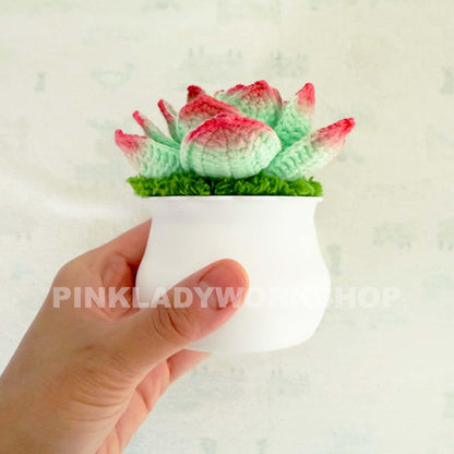 Handmade Crochet Succulent Pot: Yarn Faux Desk Plant