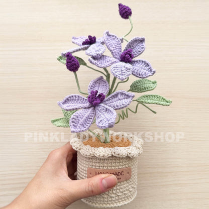 Crochet Clematis Flower Pot: Asian Virginsbower, Home Decor