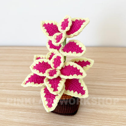 Handmade Crochet Coleus Plant Pot: Colorful Leaf Home Decor