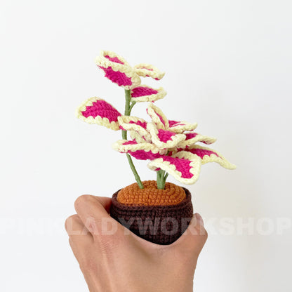 Handmade Crochet Coleus Plant Pot: Colorful Leaf Home Decor