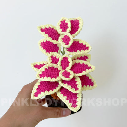 Handmade Crochet Coleus Plant Pot: Colorful Leaf Home Decor