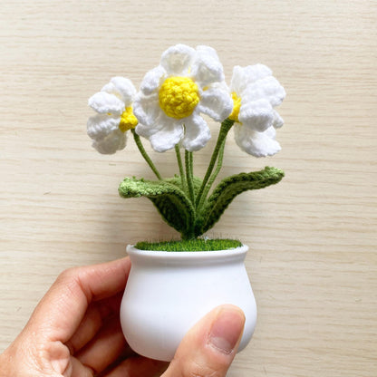 Crochet Daisy Pot: Handmade Cotton Yarn Decor - Summer Home