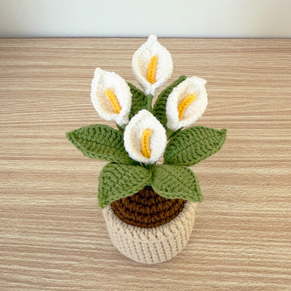 Pre-order Crochet Calla Lily Plant | Handmade Yarn Flower Arrangement