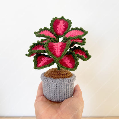 Pre-order Crochet Coleus Plant | Handmade Red & Green Fiber Art Decor
