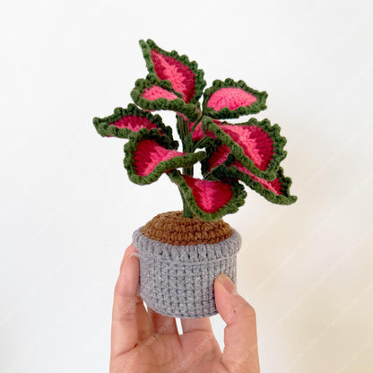 Pre-order Crochet Coleus Plant | Handmade Red & Green Fiber Art Decor