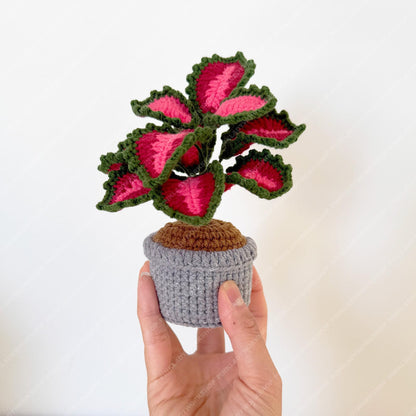 Pre-order Crochet Coleus Plant | Handmade Red & Green Fiber Art Decor