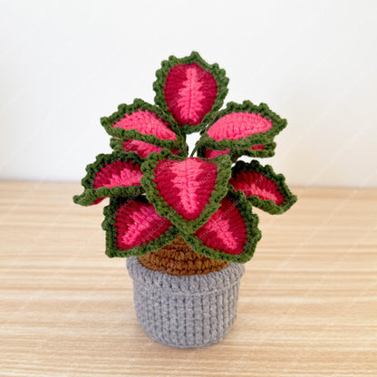 Pre-order Crochet Coleus Plant | Handmade Red & Green Fiber Art Decor