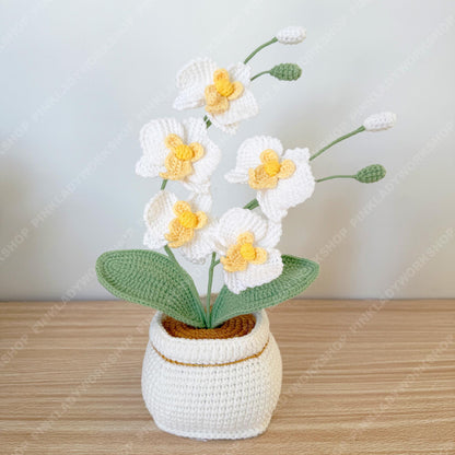 Handmade Crochet Orchid Plant | White Yarn Flower Arrangement