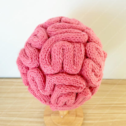 Crochet Brain Hat | Pink Brain Beanie | Funny Handmade Hat | Unique Costume Accessory