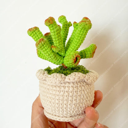 Crochet Gollum Jade Plant | Handmade Succulent Pot | Amigurumi Jade Plant | Cute Desk Plant Decor Gift
