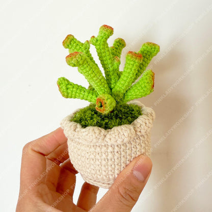 Crochet Gollum Jade Plant | Handmade Succulent Pot | Amigurumi Jade Plant | Cute Desk Plant Decor Gift