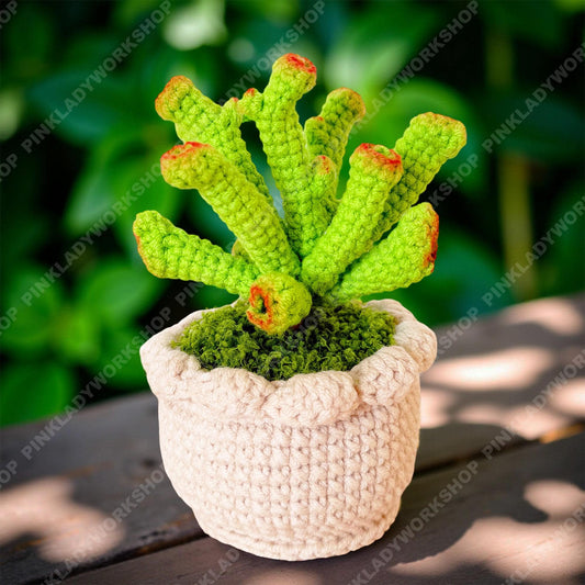 Crochet Gollum Jade Plant | Handmade Succulent Pot | Amigurumi Jade Plant | Cute Desk Plant Decor Gift