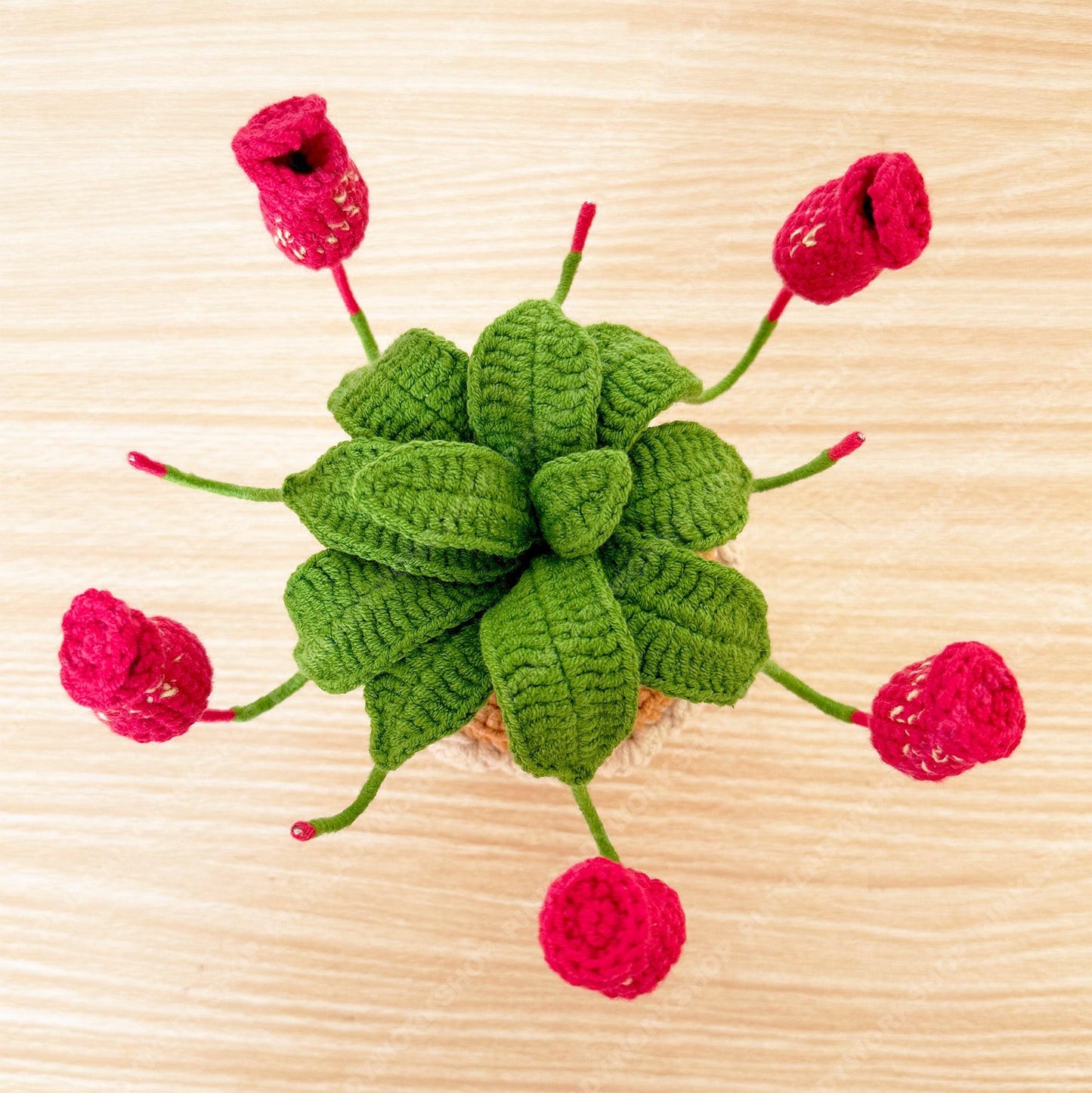 Crochet Pitcher Plant | Handmade Carnivorous Plant | Amigurumi Nepenthes | Cute Desk Plant Decor Gift