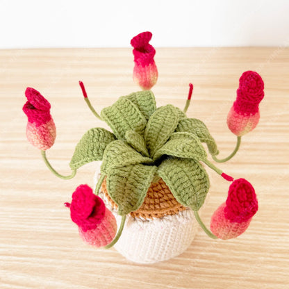 Crochet Pitcher Plant | Handmade Carnivorous Plant | Amigurumi Nepenthes | Cute Desk Plant Decor Gift