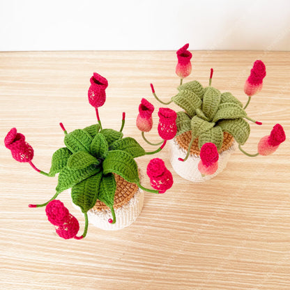 Crochet Pitcher Plant | Handmade Carnivorous Plant | Amigurumi Nepenthes | Cute Desk Plant Decor Gift