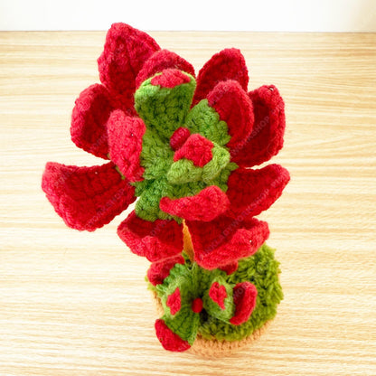 Crochet Campfire Succulent | Handmade Red Crassula Plant | Amigurumi Succulent Pot | Cute Desk Plant Gift