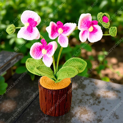 Pre-order Crochet Orchid Plant | Handmade Pink Orchid Flower with Plastic Pot | Amigurumi Potted Orchid Decor | Gift for Mom