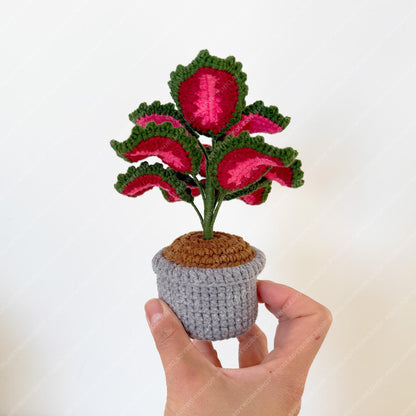 Crochet Coleus Plant | Handmade Red & Green Fiber Art Decor