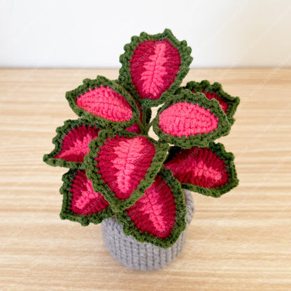 Pre-order Crochet Coleus Plant | Handmade Red & Green Fiber Art Decor
