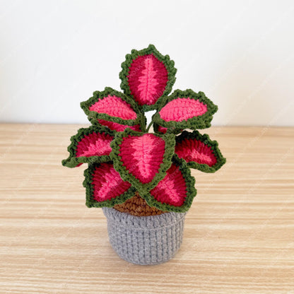 Crochet Coleus Plant | Handmade Red & Green Fiber Art Decor