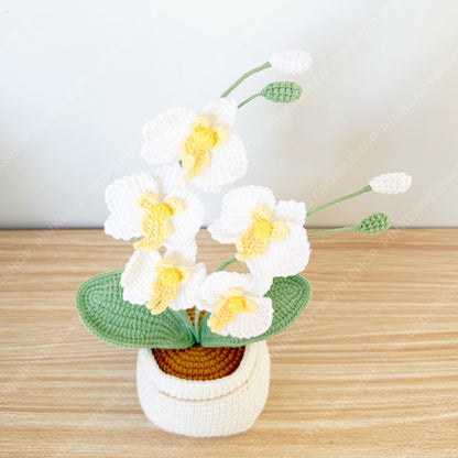 Handmade Crochet Orchid Plant | White Yarn Flower Arrangement