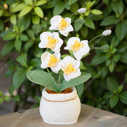 Handmade Crochet Orchid Plant | White Yarn Flower Arrangement