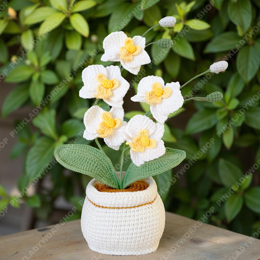 Handmade Crochet Orchid Plant | White Yarn Flower Arrangement