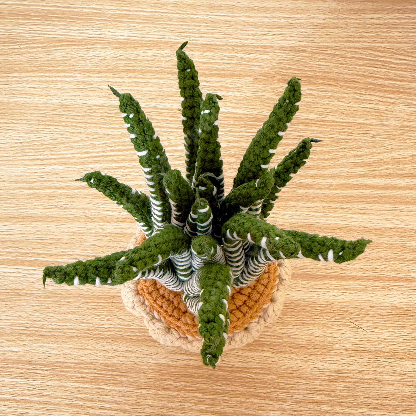 Crochet DETAILED Haworthia Zebra Snake Plant | Handmade Potted Plant Decor | Faux Plant for Desk Shelf | Housewarming Gift