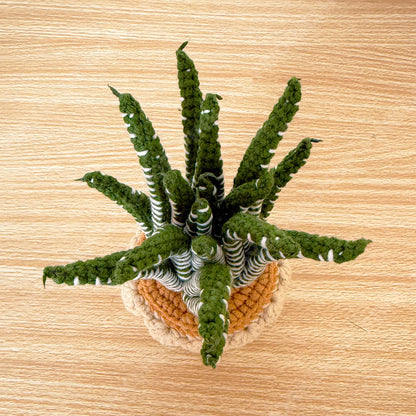 Crochet DETAILED Haworthia Zebra Snake Plant | Handmade Potted Plant Decor | Faux Plant for Desk Shelf | Housewarming Gift