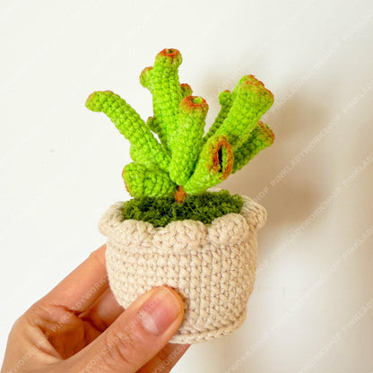 Crochet Gollum Jade Plant | Handmade Succulent Pot | Amigurumi Jade Plant | Cute Desk Plant Decor Gift