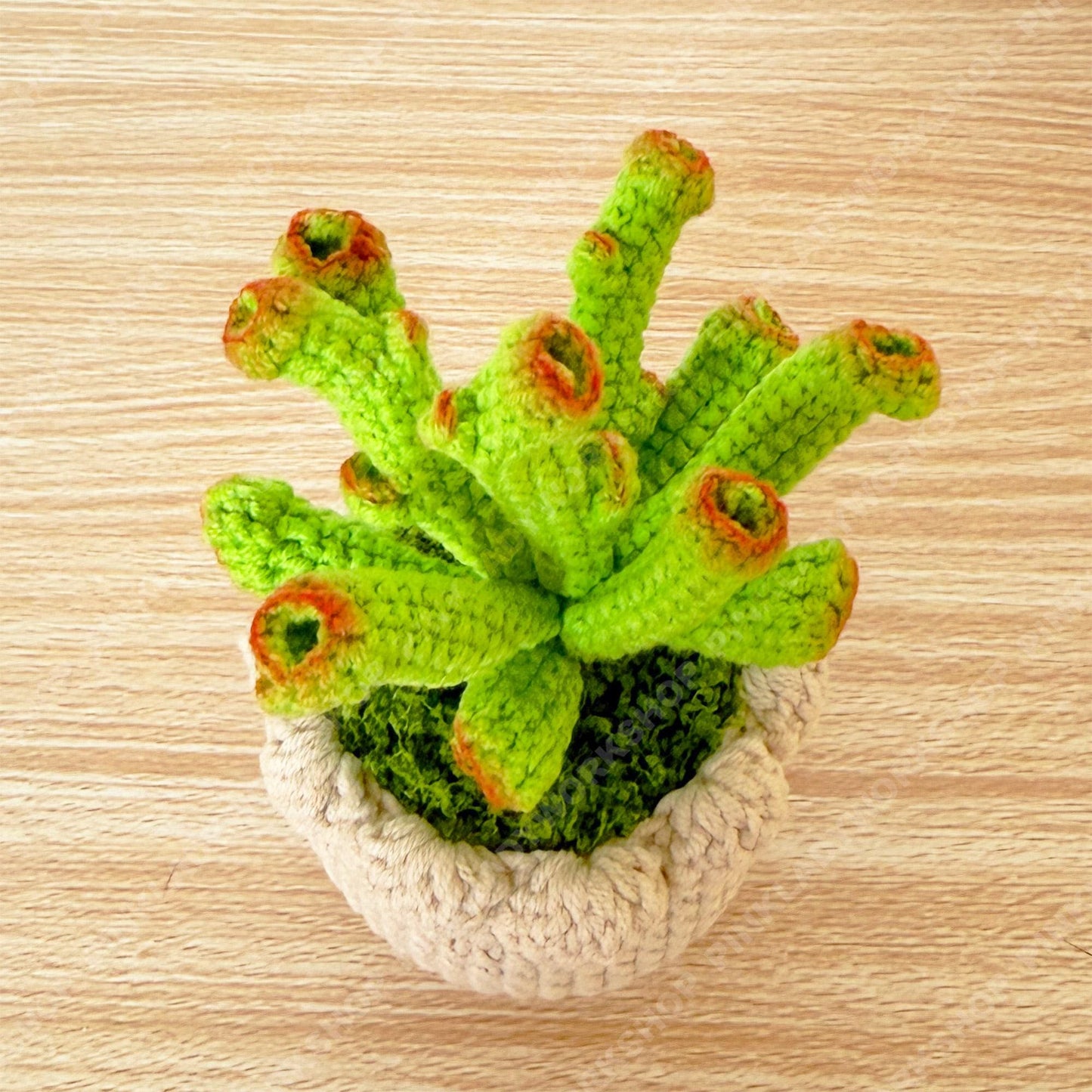 Crochet Gollum Jade Plant | Handmade Succulent Pot | Amigurumi Jade Plant | Cute Desk Plant Decor Gift