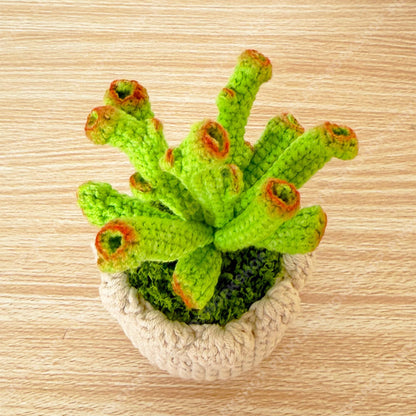 Crochet Gollum Jade Plant | Handmade Succulent Pot | Amigurumi Jade Plant | Cute Desk Plant Decor Gift