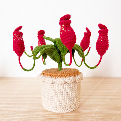 Crochet Pitcher Plant | Handmade Carnivorous Plant | Amigurumi Nepenthes | Cute Desk Plant Decor Gift
