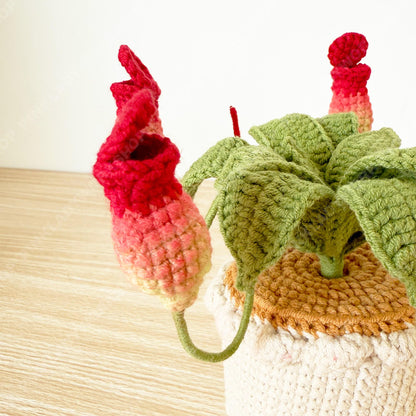 Crochet Pitcher Plant | Handmade Carnivorous Plant | Amigurumi Nepenthes | Cute Desk Plant Decor Gift