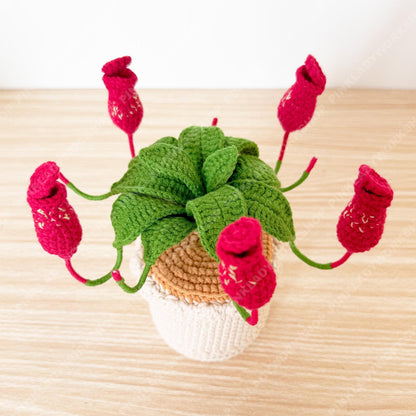 Crochet Pitcher Plant | Handmade Carnivorous Plant | Amigurumi Nepenthes | Cute Desk Plant Decor Gift