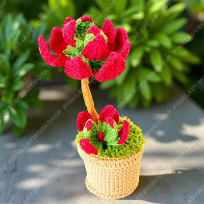 Crochet Campfire Succulent | Handmade Red Crassula Plant | Amigurumi Succulent Pot | Cute Desk Plant Gift